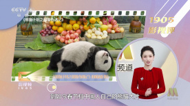 玖玖艹